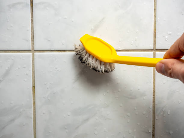 Lenoir City, TN Mold Removal Company